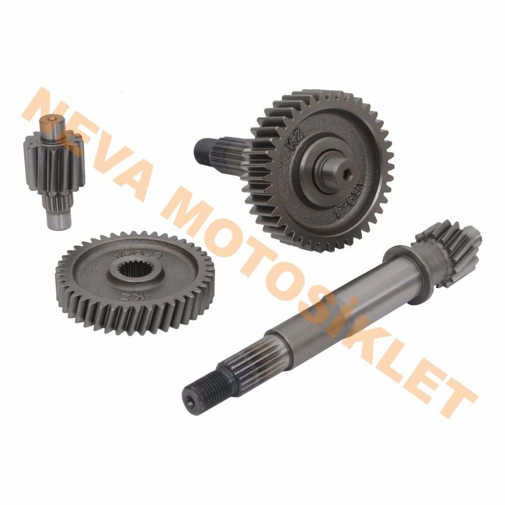 ŞANZIMAN KOMPLE ACTIVA S