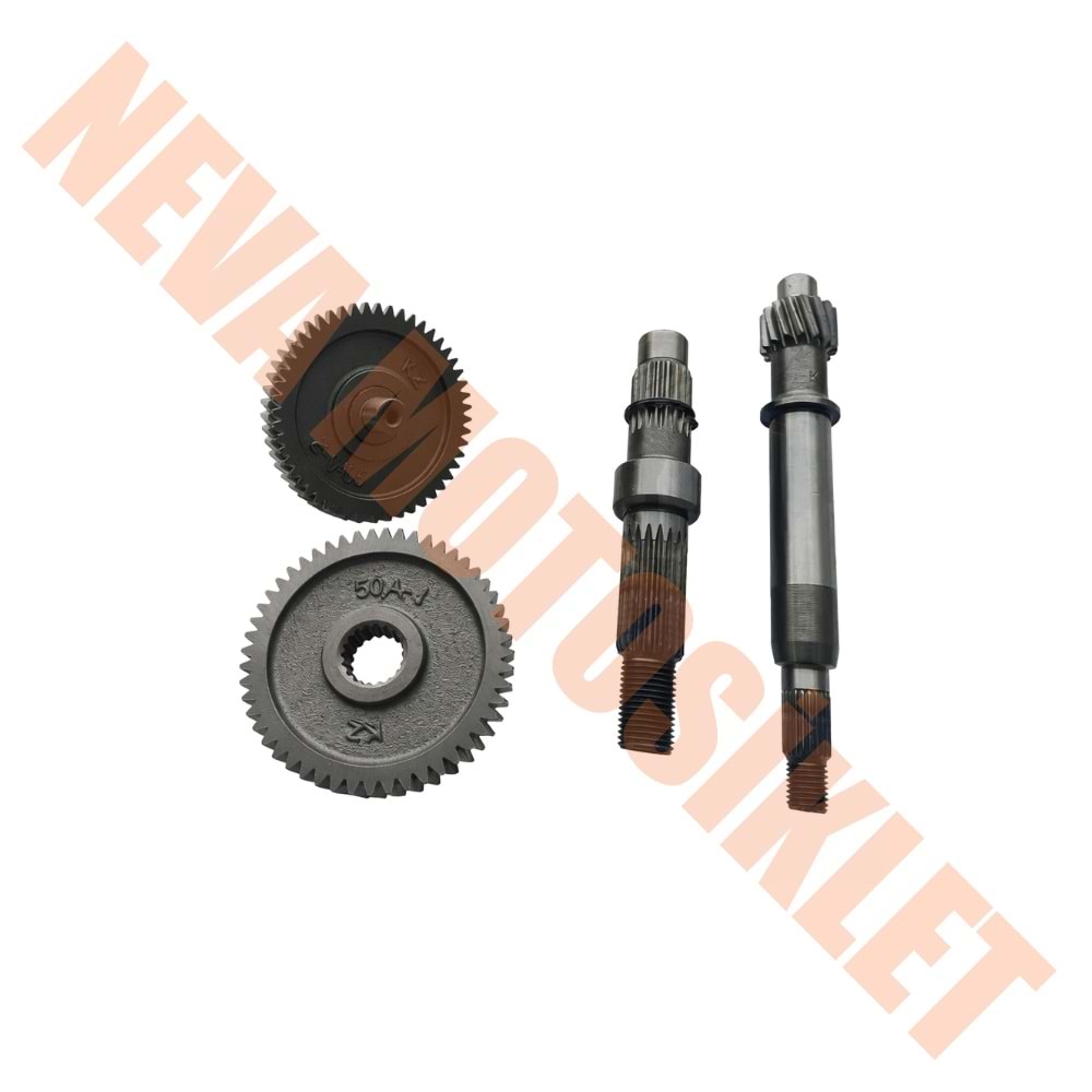 ŞANZIMAN KOMPLE REVIVAL 50 CC