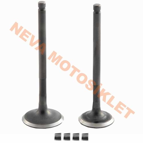 SUBAP TAKIMI [TIRNAKLI] [DQ] ACTIVA S