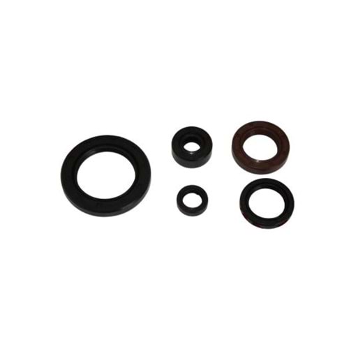 REGAL RAPTOR DD350 / DD250 / MR DESTRO 350 YAĞ KEÇE SETİ