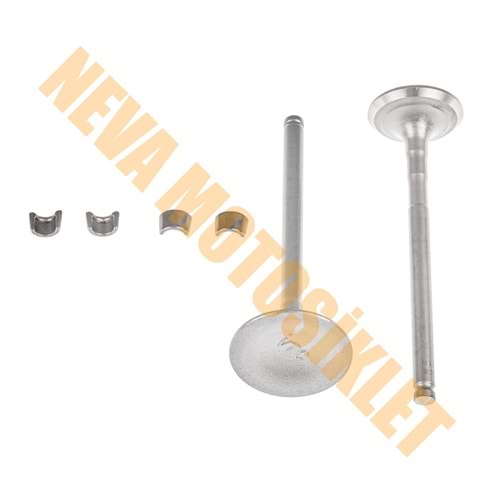 SUBAP TAKIMI [TIRNAKLI] [VTC] ACTIVA-S