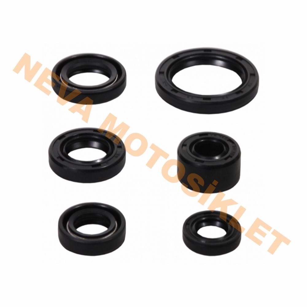 KEÇE TAKIMI [6 LI SET] CUB