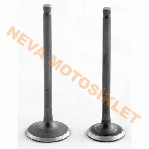 SUBAP TAKIMI [TIRNAKLI] FIZY [VTC]