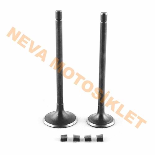 SUBAP TAKIMI [TIRNAKLI] [DQ] CBF 150