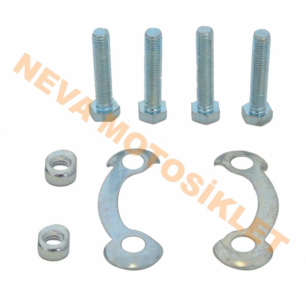 ARKA DİŞLİ VİDALARI CUB