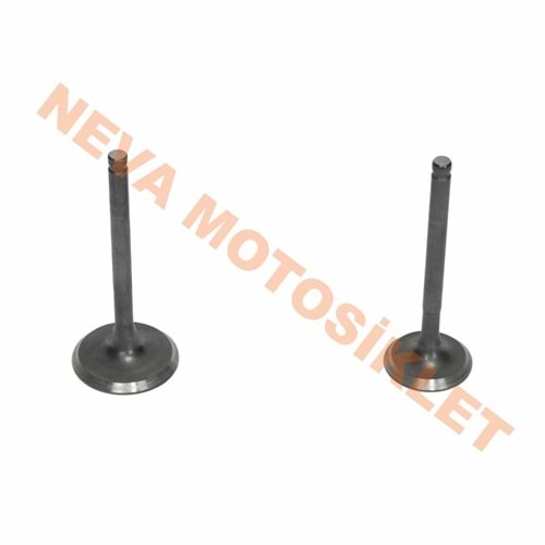 SUBAP TAKIMI - RKS NEWLIGHT