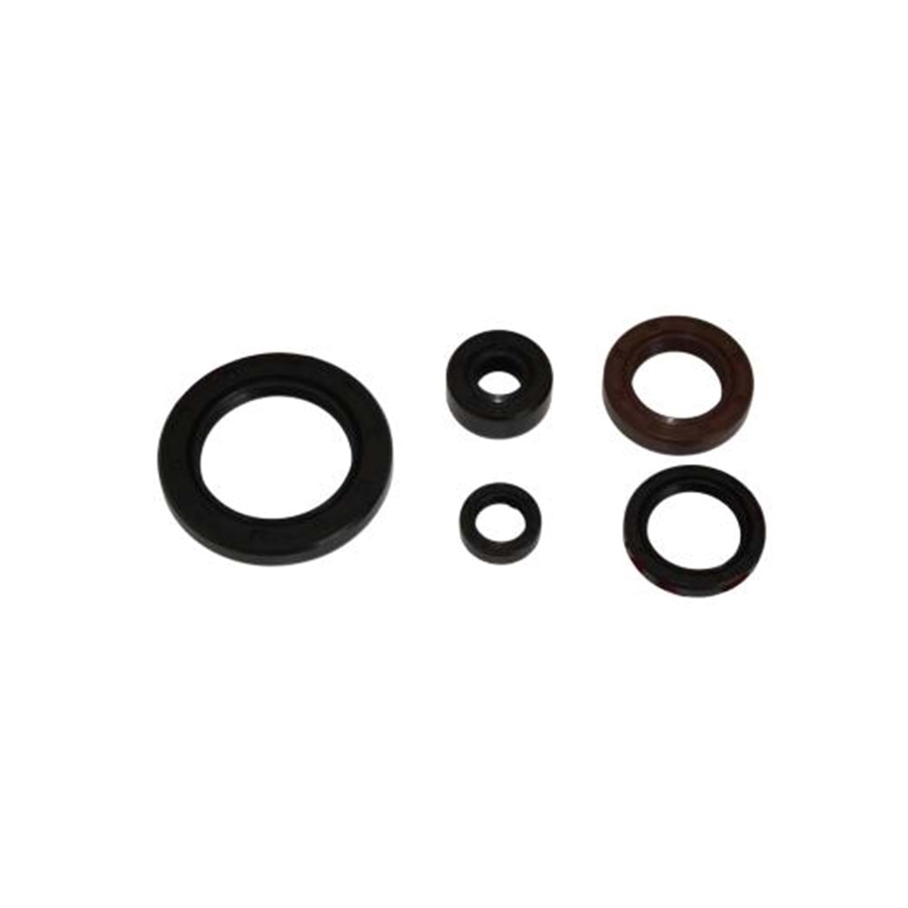 REGAL RAPTOR DD350 / DD250 / MR DESTRO 350 YAĞ KEÇE SETİ