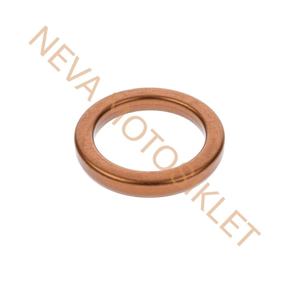 SCOOTER EGZOZ CONTASI